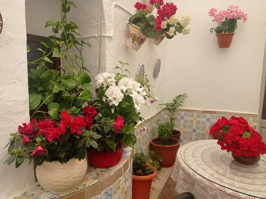 Casa típica de pueblo andaluz Vila Villanueva de San Juan Exterior foto